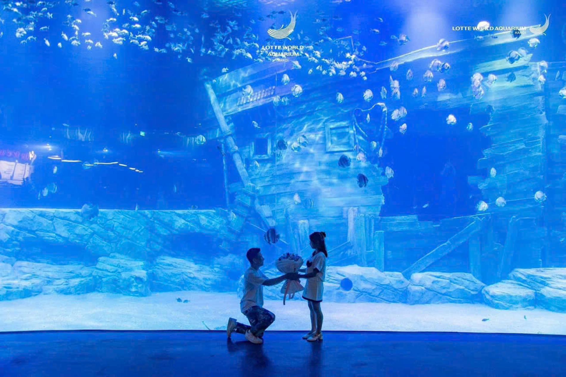 Lotte World Aquarium Tây Hồ Hà Nội — ảnh 6/20