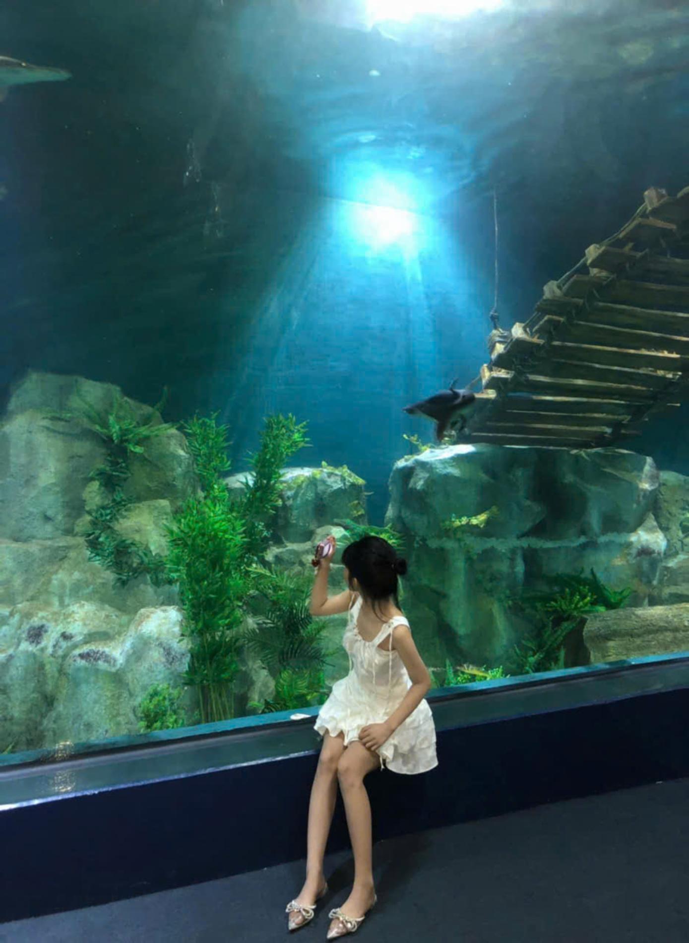 Lotte World Aquarium Tây Hồ Hà Nội — ảnh 4/20