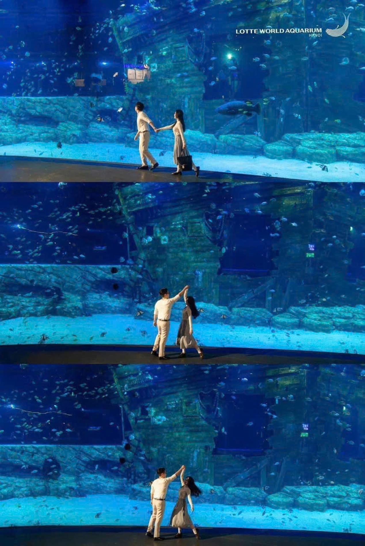 Lotte World Aquarium Tây Hồ Hà Nội — ảnh 9/20