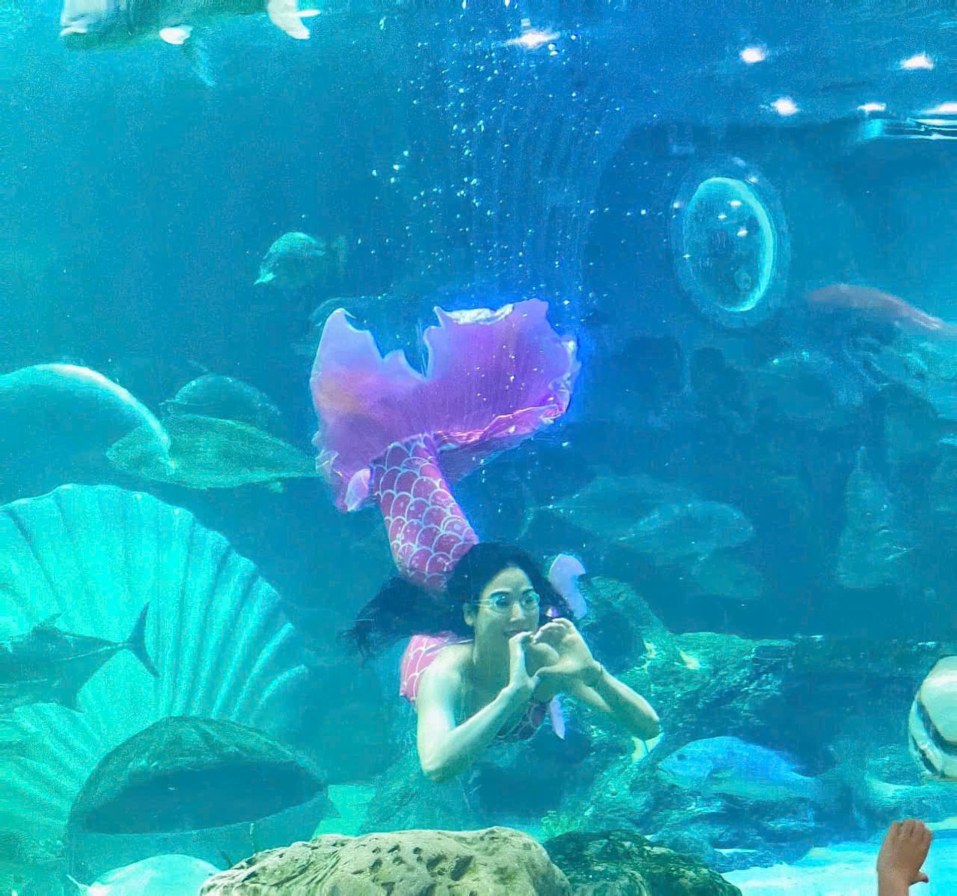 Lotte World Aquarium Tây Hồ Hà Nội — ảnh 11/20