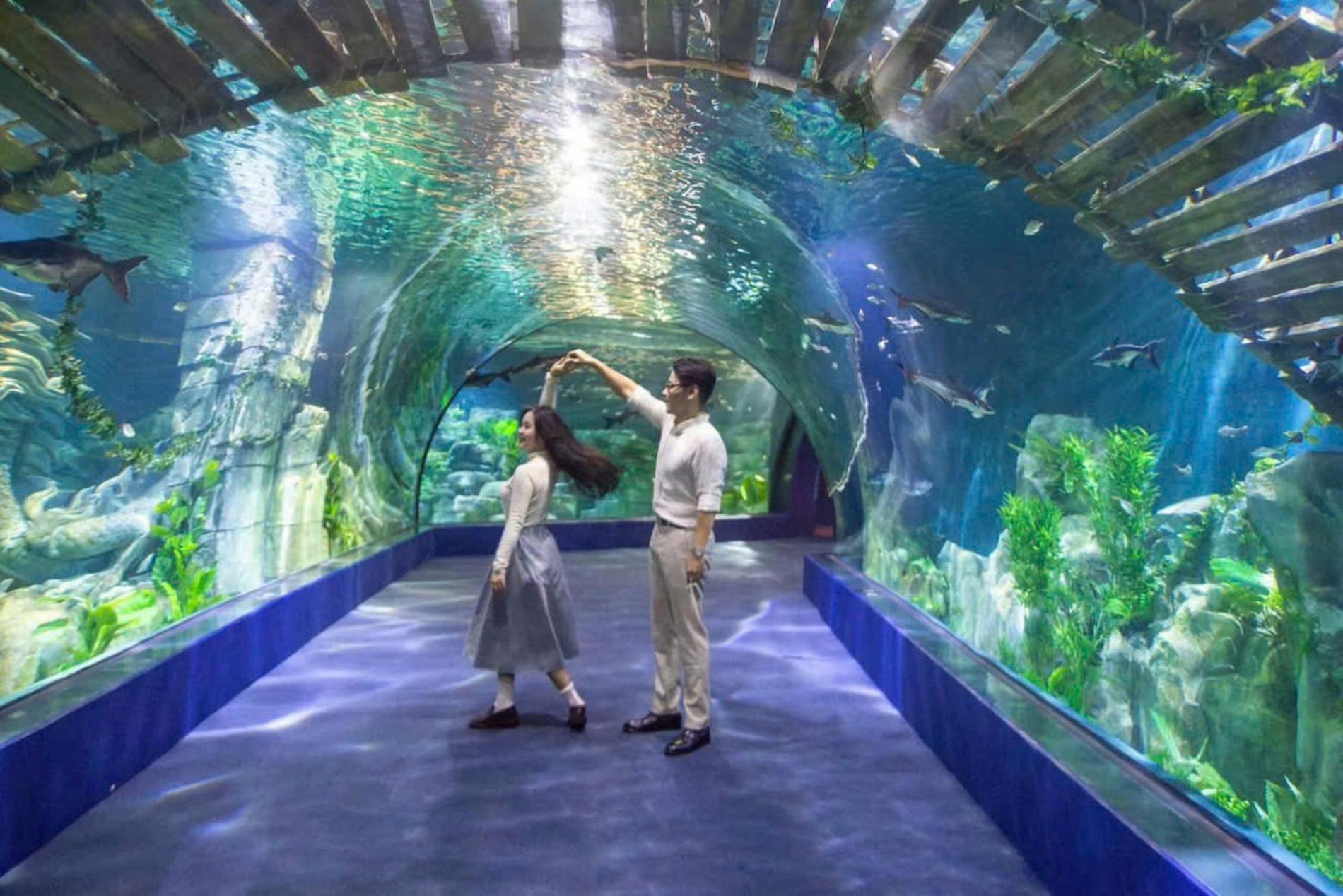 Lotte World Aquarium Tây Hồ Hà Nội — ảnh 7/20