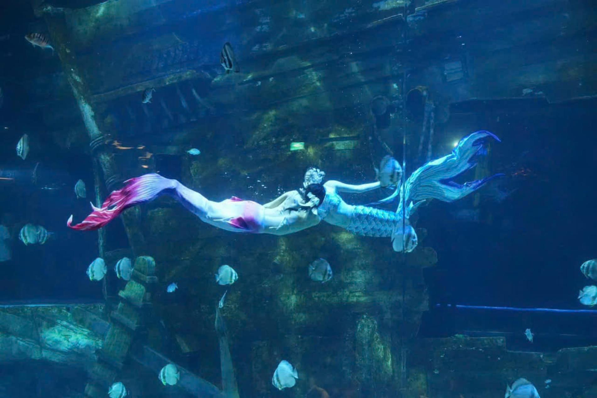 Lotte World Aquarium Tây Hồ Hà Nội — ảnh 3/20