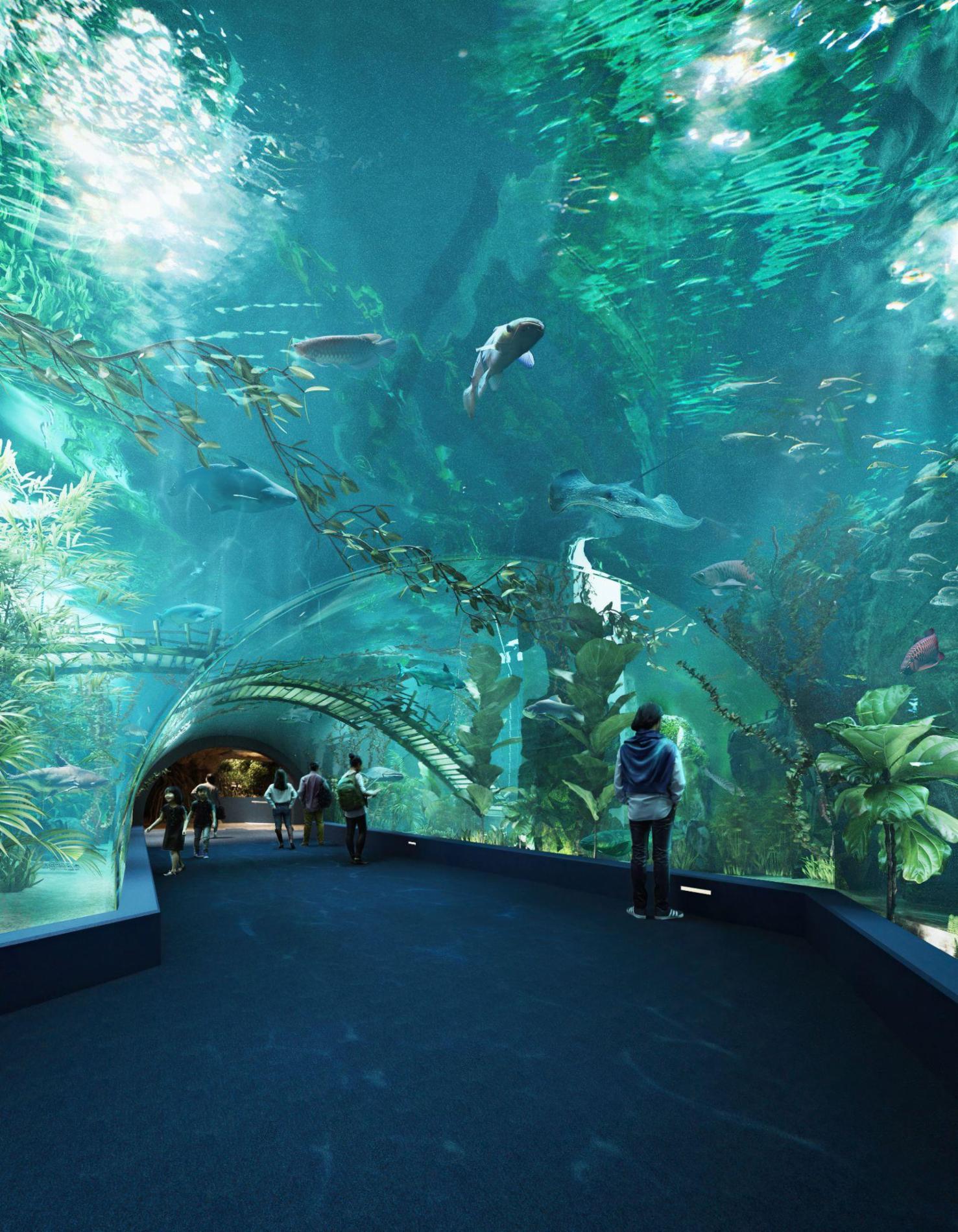 Lotte World Aquarium Tây Hồ Hà Nội — ảnh 2/20