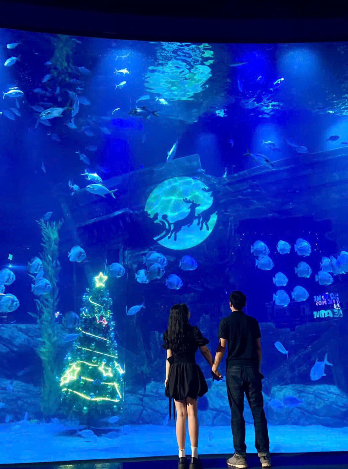 Lotte World Aquarium Tây Hồ Hà Nội — ảnh 8/20