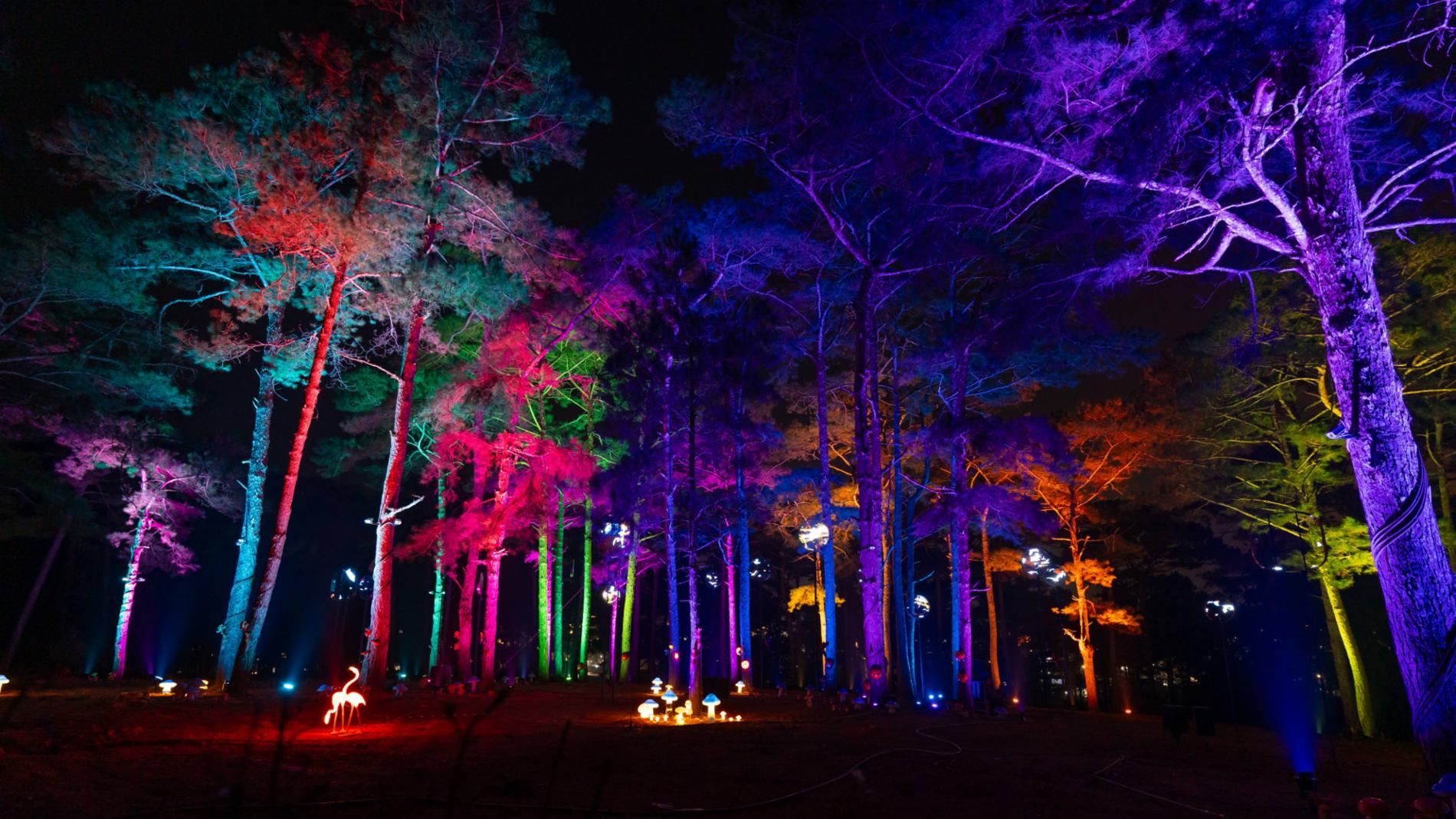 Delight Park Đà Lạt — ảnh 12/15