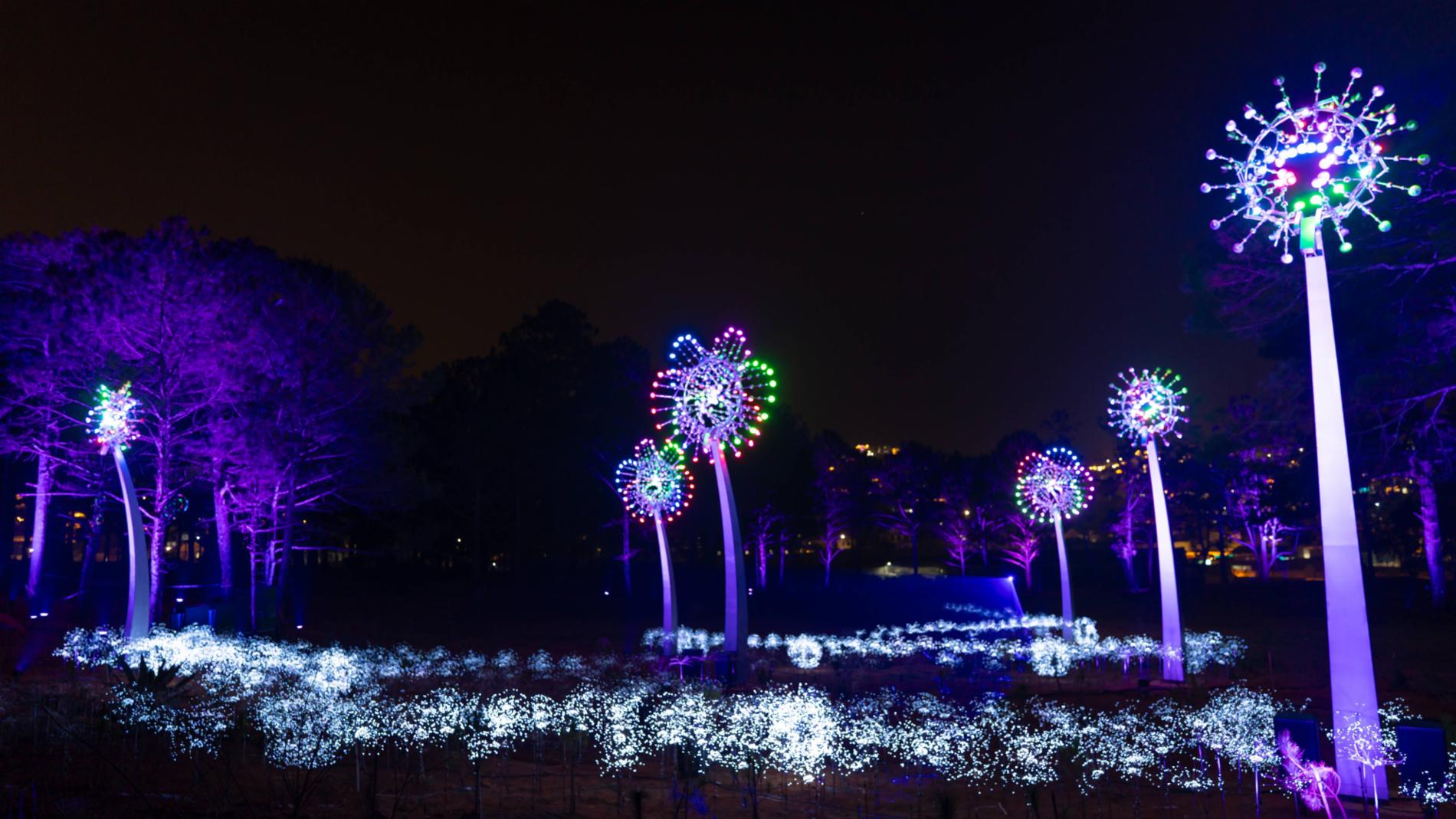 Delight Park Đà Lạt — ảnh 9/15