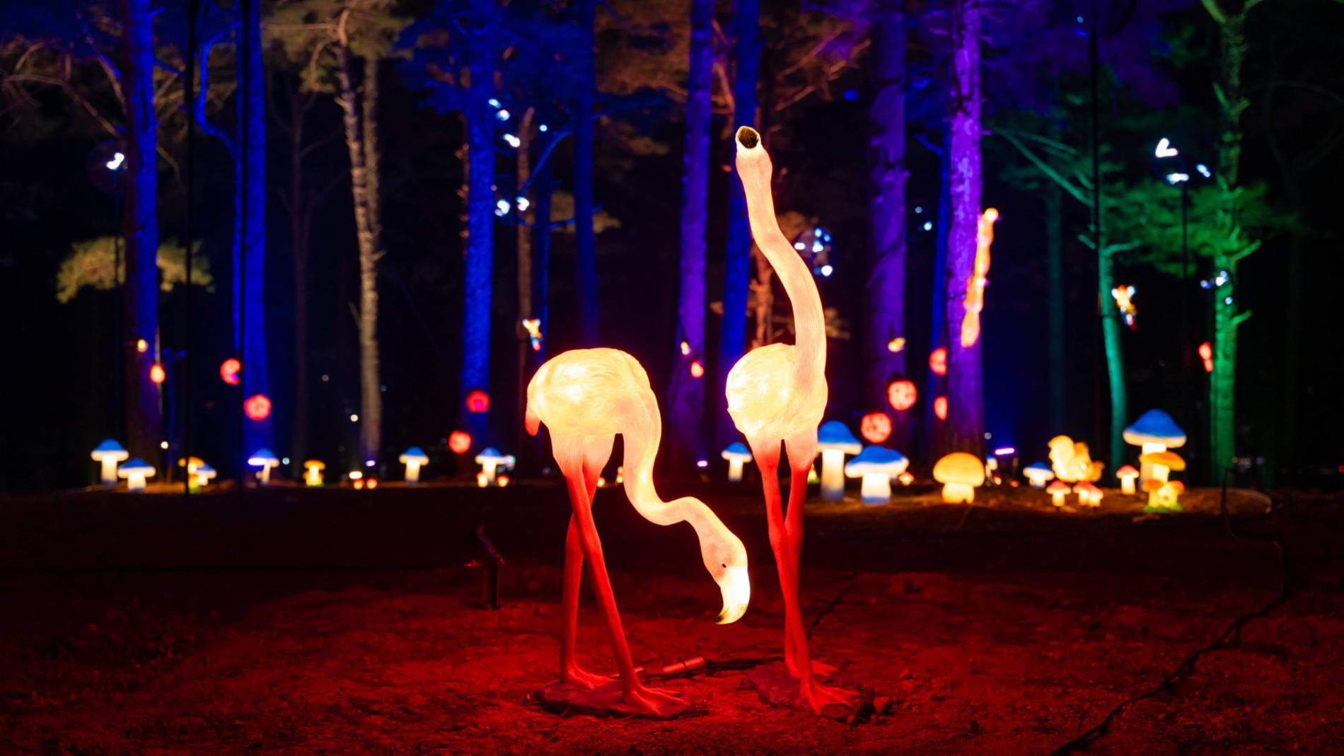 Delight Park Đà Lạt — ảnh 7/15