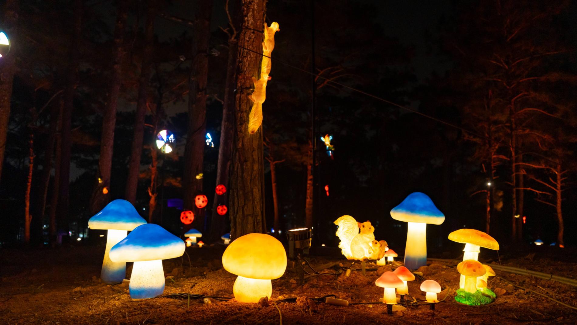 Delight Park Đà Lạt — ảnh 13/15