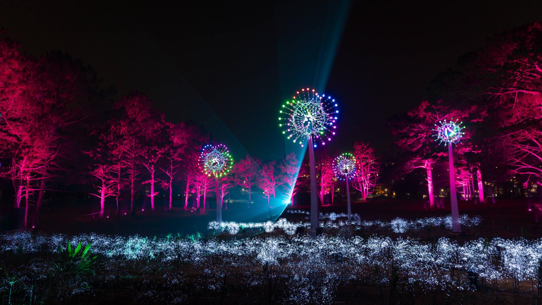 Delight Park Đà Lạt — ảnh 11/15