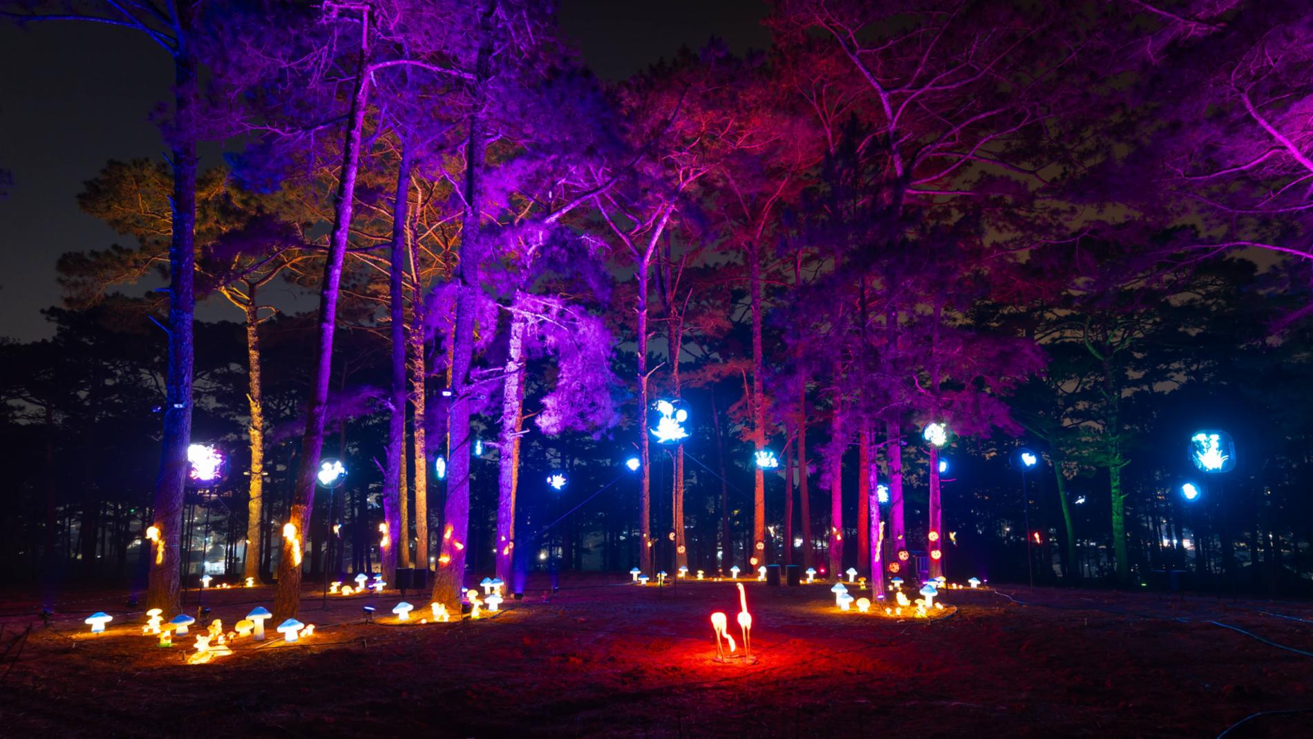 Delight Park Đà Lạt — ảnh 10/15