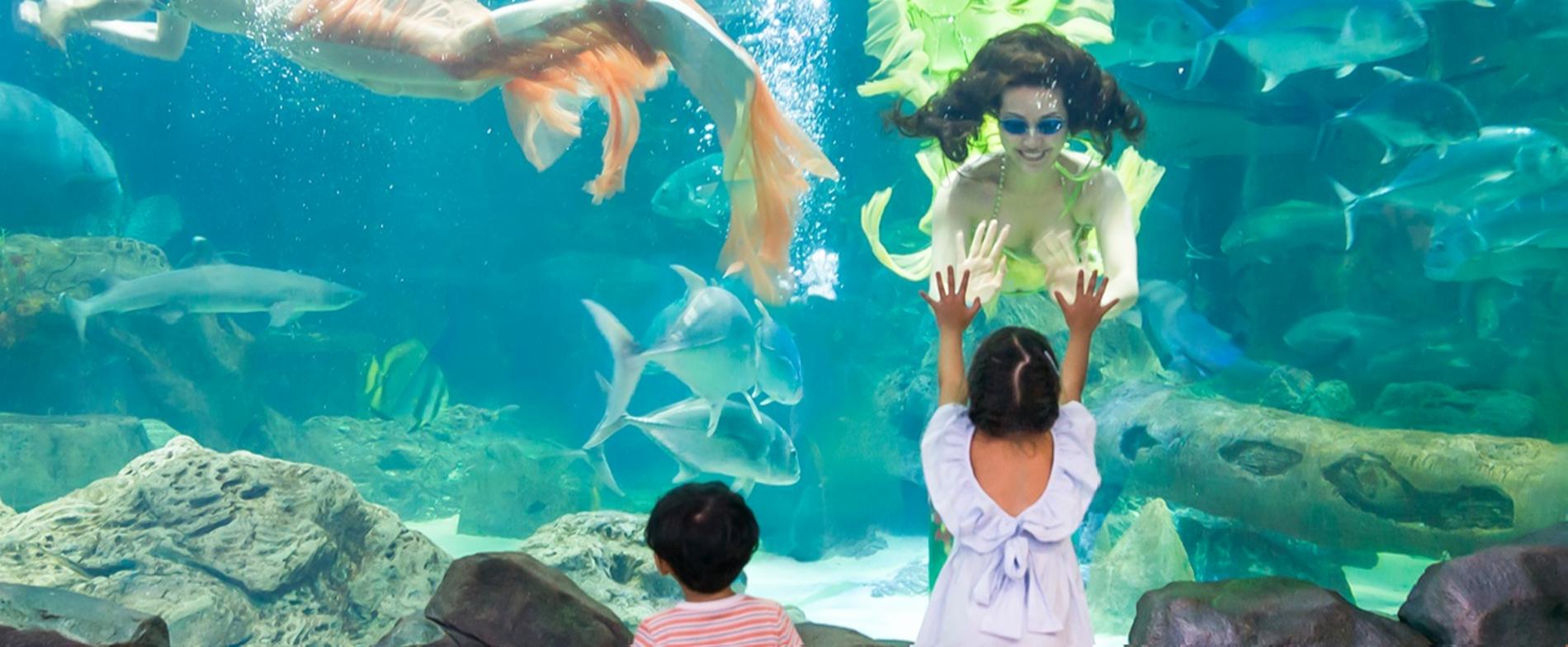 VinKE & Aquarium Times City - Hà Nội — ảnh 9/15