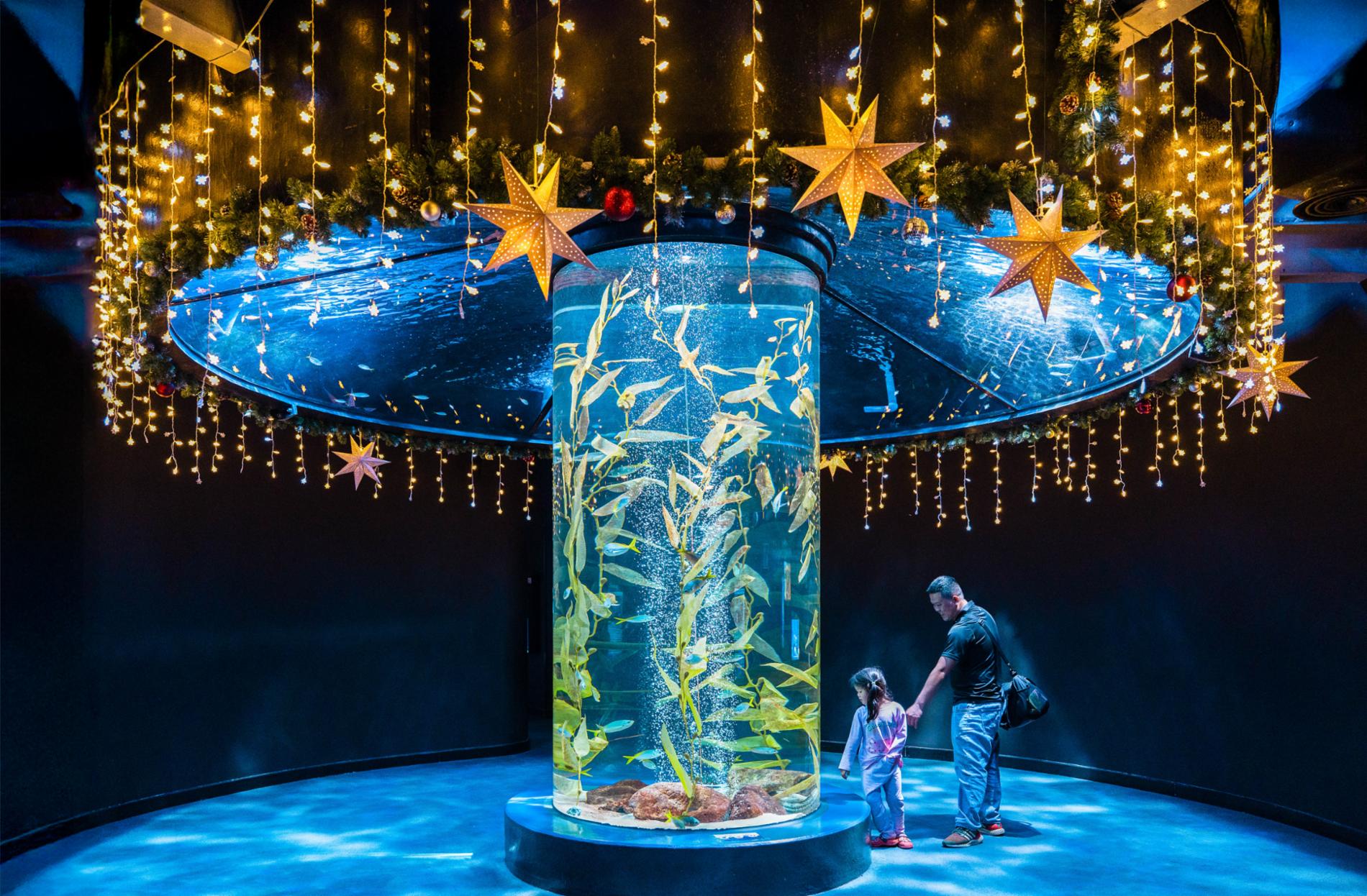 Lotte World Aquarium Tây Hồ Hà Nội — ảnh 18/20