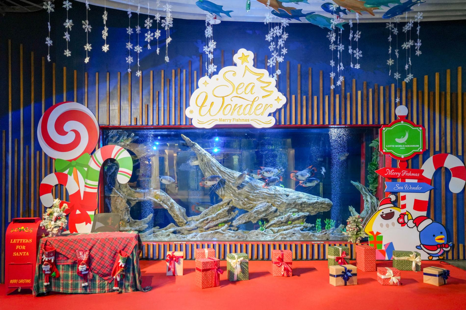 Lotte World Aquarium Tây Hồ Hà Nội — ảnh 17/20
