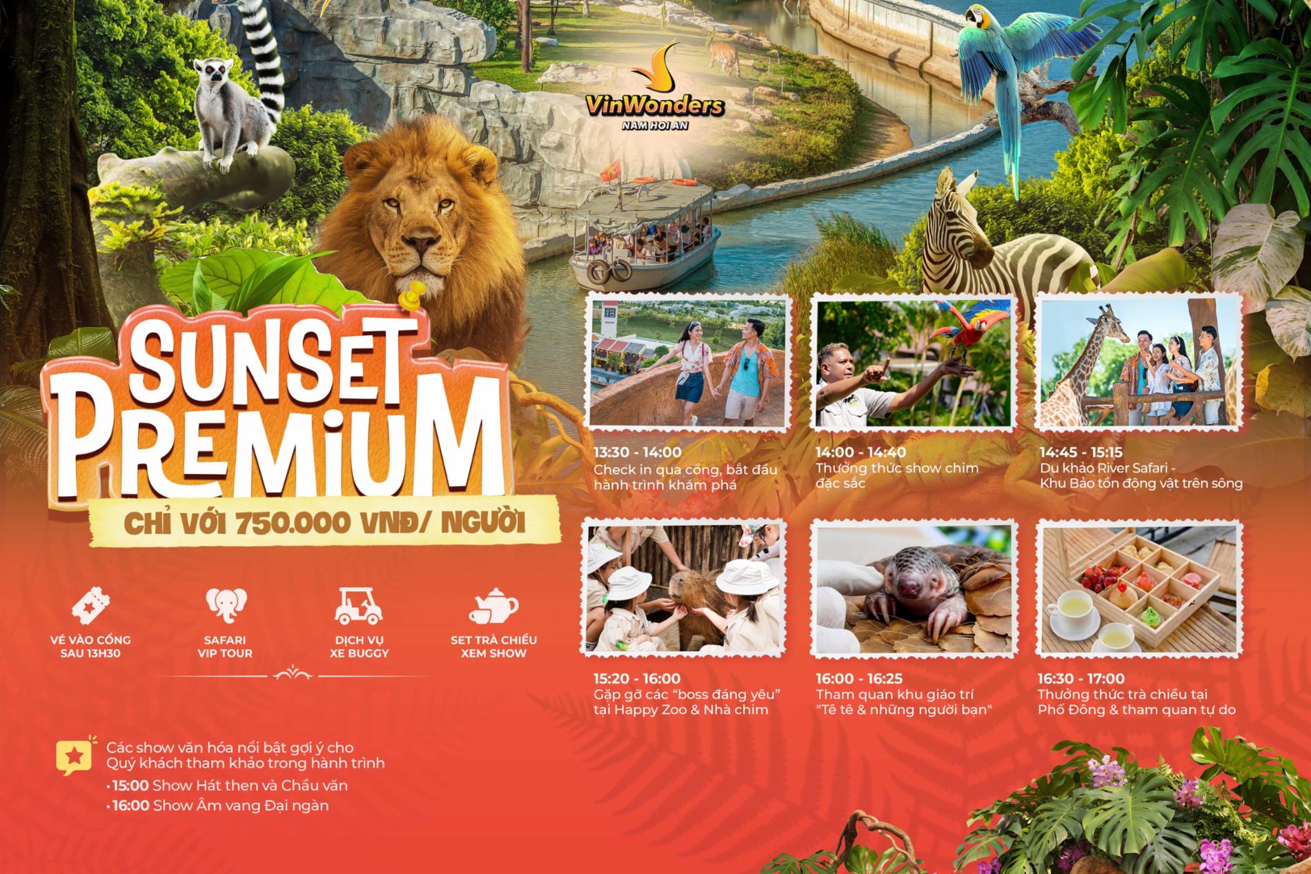 VinWonders Nam Hội An — ảnh 12/20