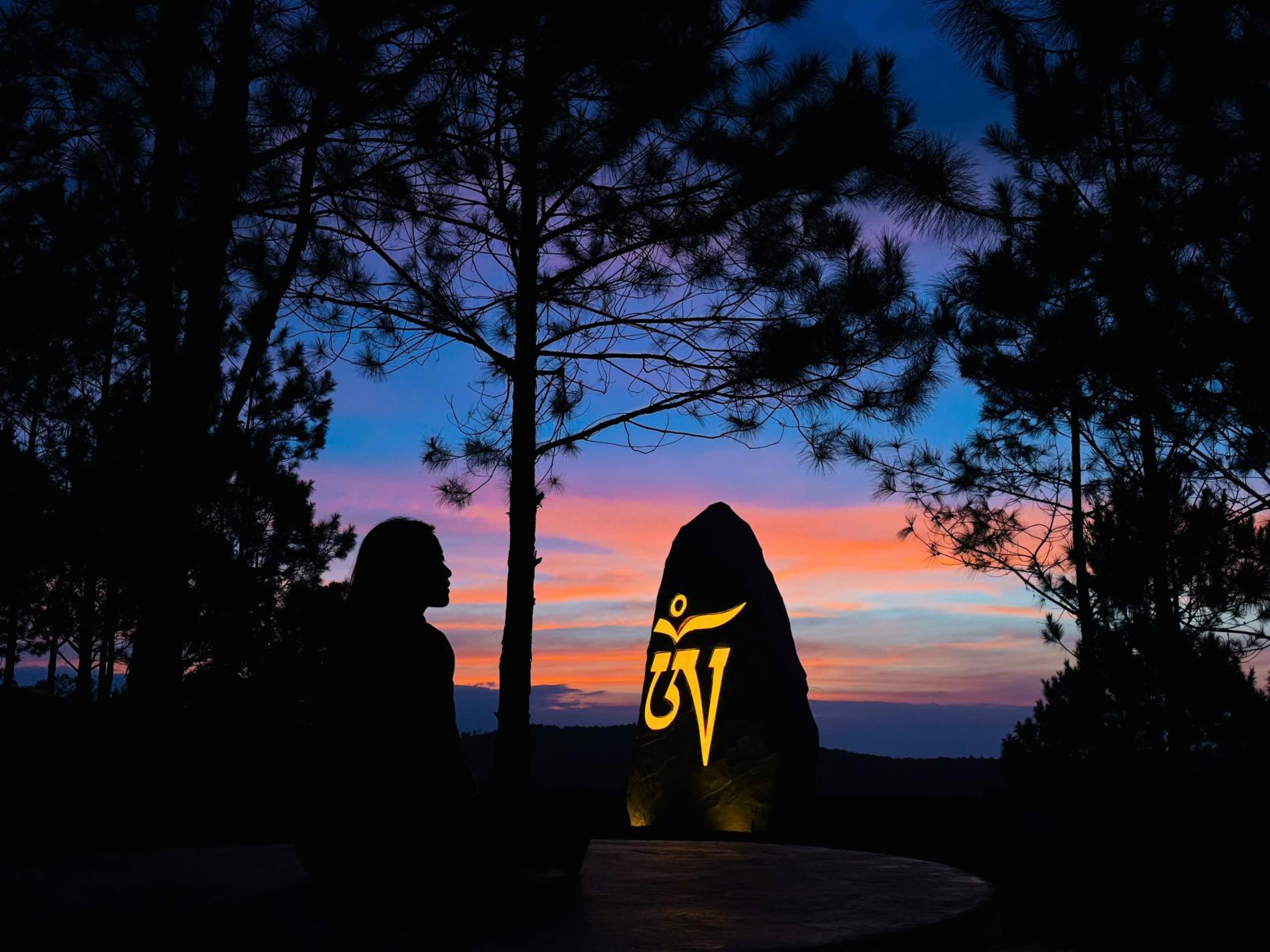 Samten Hills Dalat — ảnh 5/34