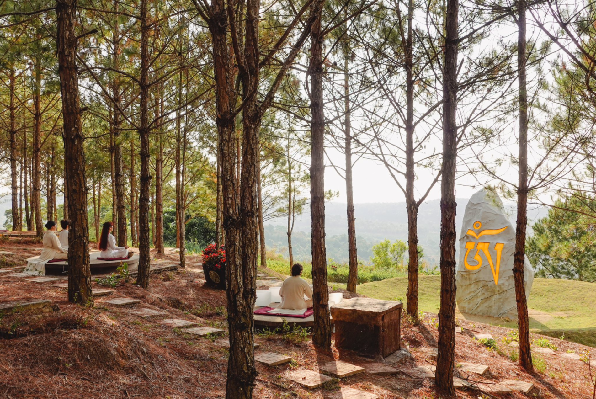 Samten Hills Dalat — ảnh 31/34
